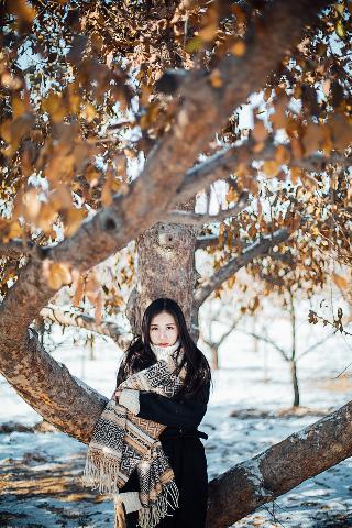 2025中文在线字幕免费观看电视剧