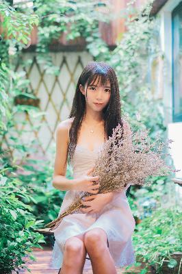 延禧攻略电视剧免费完整版在线观看