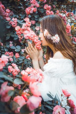 GOGOGO高清在线观看