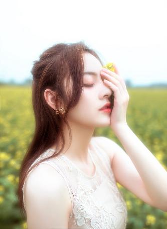 免费观看电视剧大全