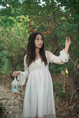 三叉戟2 电视剧