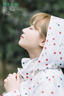 新奥天天彩最精准大全