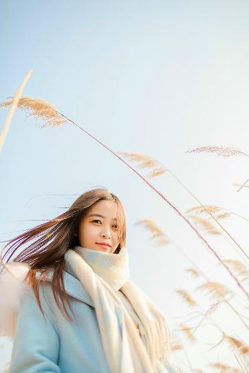 仙台有树电视剧免费观看全集高清完整版