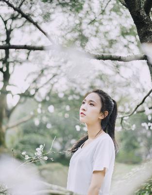 国产大片免费观看电视剧在线