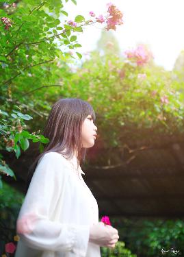 神马达达兔在线电视剧免费大全