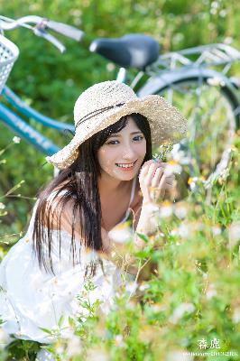 办公室3在线观看免费版电视剧大全