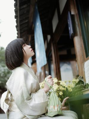 垂延台剧双男主电视剧免费观看全集高清