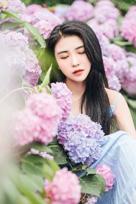 高清视频免费观看