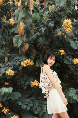 春江花月夜原文