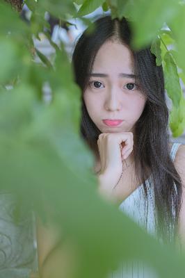 凤凰台上电视剧免费观看