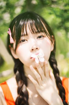 楚汉传奇1-80全集完整版