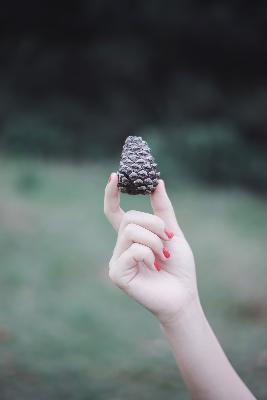 狙击蝴蝶 电视剧