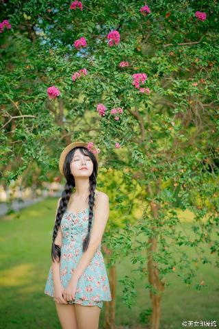 免费看电影网站