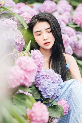 莫离电视剧免费观看全集高清