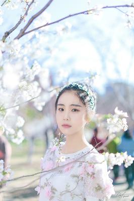 完美世界动漫在线观看全集免费播放