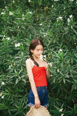 都市古仙医动漫免费观看