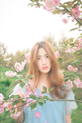 滤镜电视剧免费观看全集高清