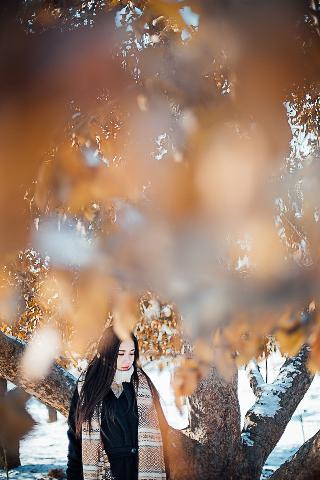 甄嬛传电视剧全集完整版