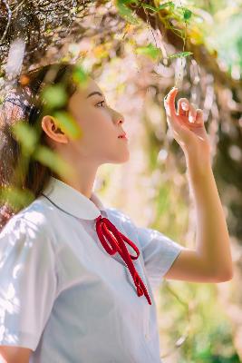 长月烬明电视剧免费观看完整版