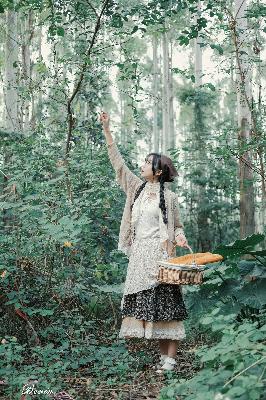 完美世界在线观看