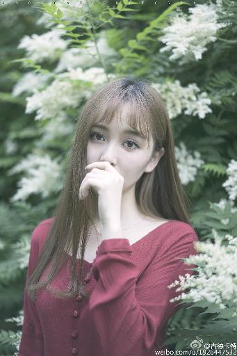 免费网站观看WWW在线观