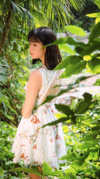 食物链韩剧在线观看免费高清