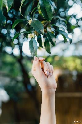 冰雪尖刀连 电视剧 在线观看