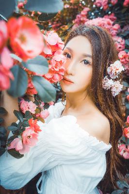 骄阳似我电视剧