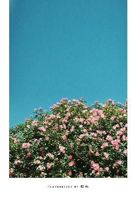 免费b站看大片真人电视剧免费