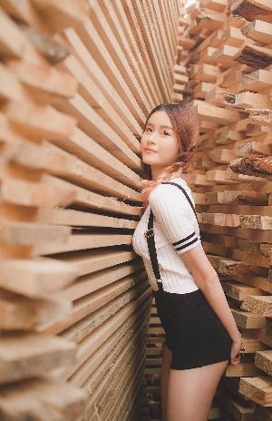 动漫免费观看在线播放高清版