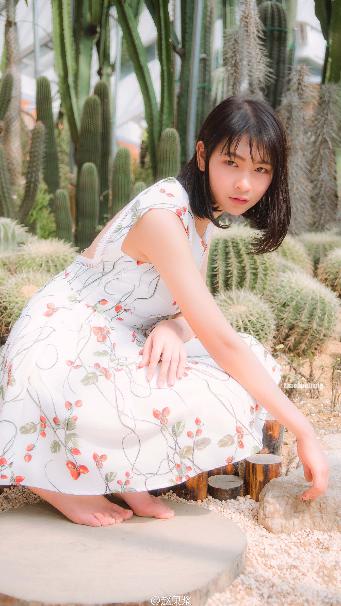 永夜星河电视剧免费高清版