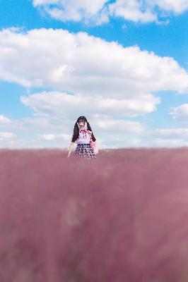 纵有疾风起电视剧免费完整版观看