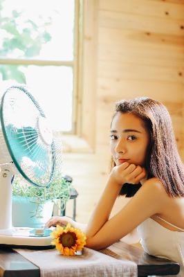 莫离电视剧免费观看全集高清