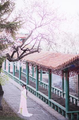 斩神之凡尘神域免费观看