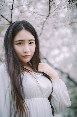 鸡毛飞上天电视剧全集免费