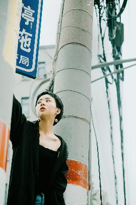 野兽们的战争在线观看免费版