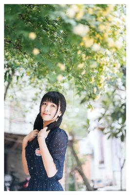 安家电视剧全集免费观看