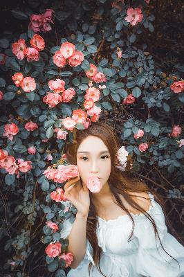 斗破苍穹年番完整免费版在线观看