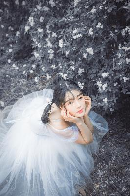 运钞大劫案2025在线观看免费版