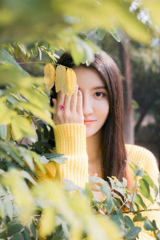 在线电影免费高清观看大全