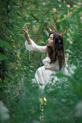 修罗武神最新章节列表