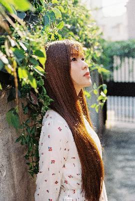 丫丫影院免费高清电视剧观看