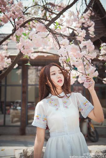 无颜之月第一季动漫全集