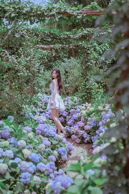 WEYVV5国产的SUV网站