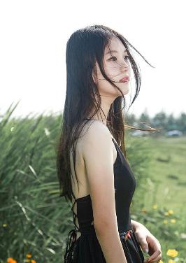 2025中文在线字幕免费观看电视剧