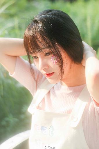 九重紫电视剧免费观看全集在线播放