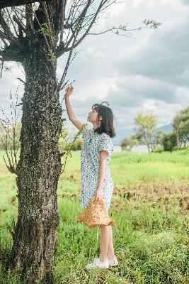 入青云电视剧免费观看全集完整版