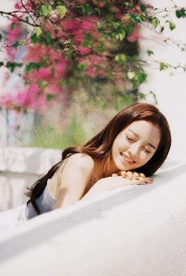 书卷一梦电视剧免费观看