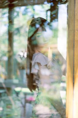 树下有片红房子电视剧免费观看全集