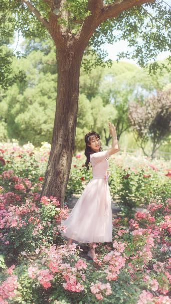 菠萝视频在线观看电视剧最新版